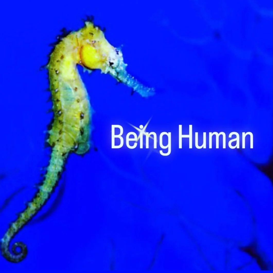 BEING HUMAN

Being human means being hurt. 
It involves mistakes, blunders and humility. It also means we get to drink coffee, and smell the skin of a newborn, if we&rsquo;re really lucky.

Being human means we get to choose. 
Love over fear, kindnes
