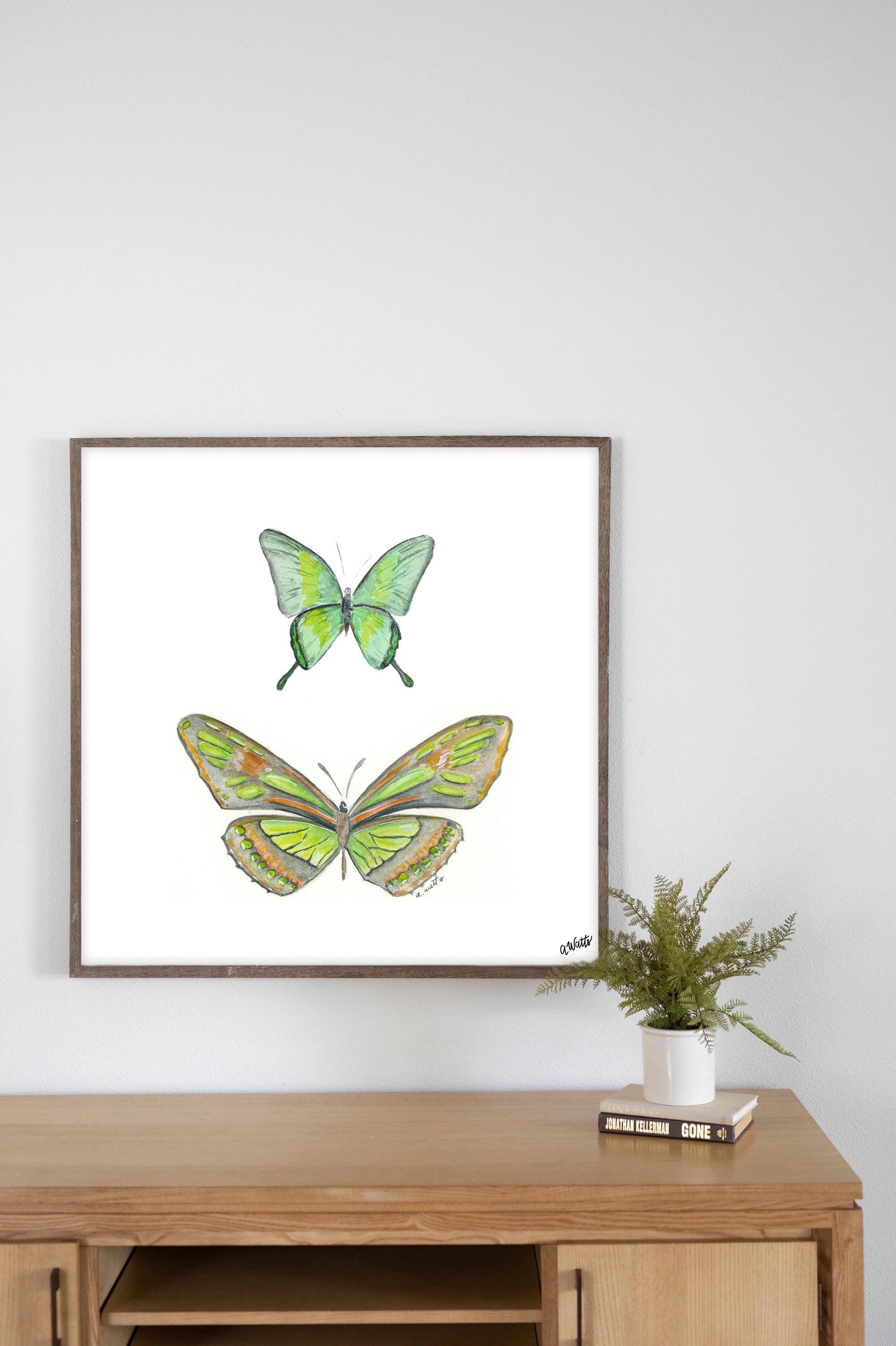 https://i.etsystatic.com/6967689/r/il/b0ca7e/6610494363/il_fullxfull.6610494363_bu7a.jpg
