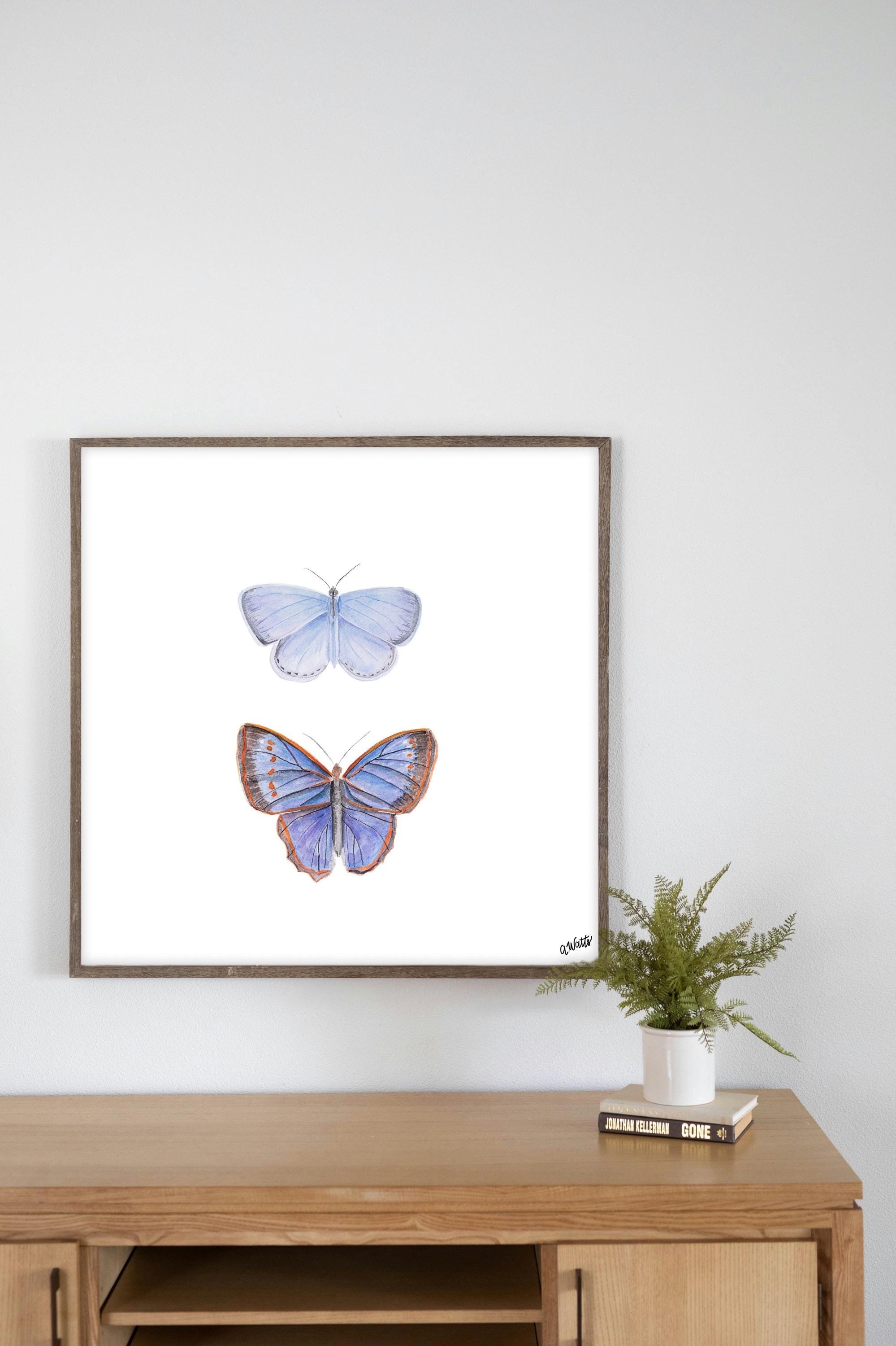 https://i.etsystatic.com/6967689/r/il/b6e8f3/6590051613/il_fullxfull.6590051613_ojqp.jpg