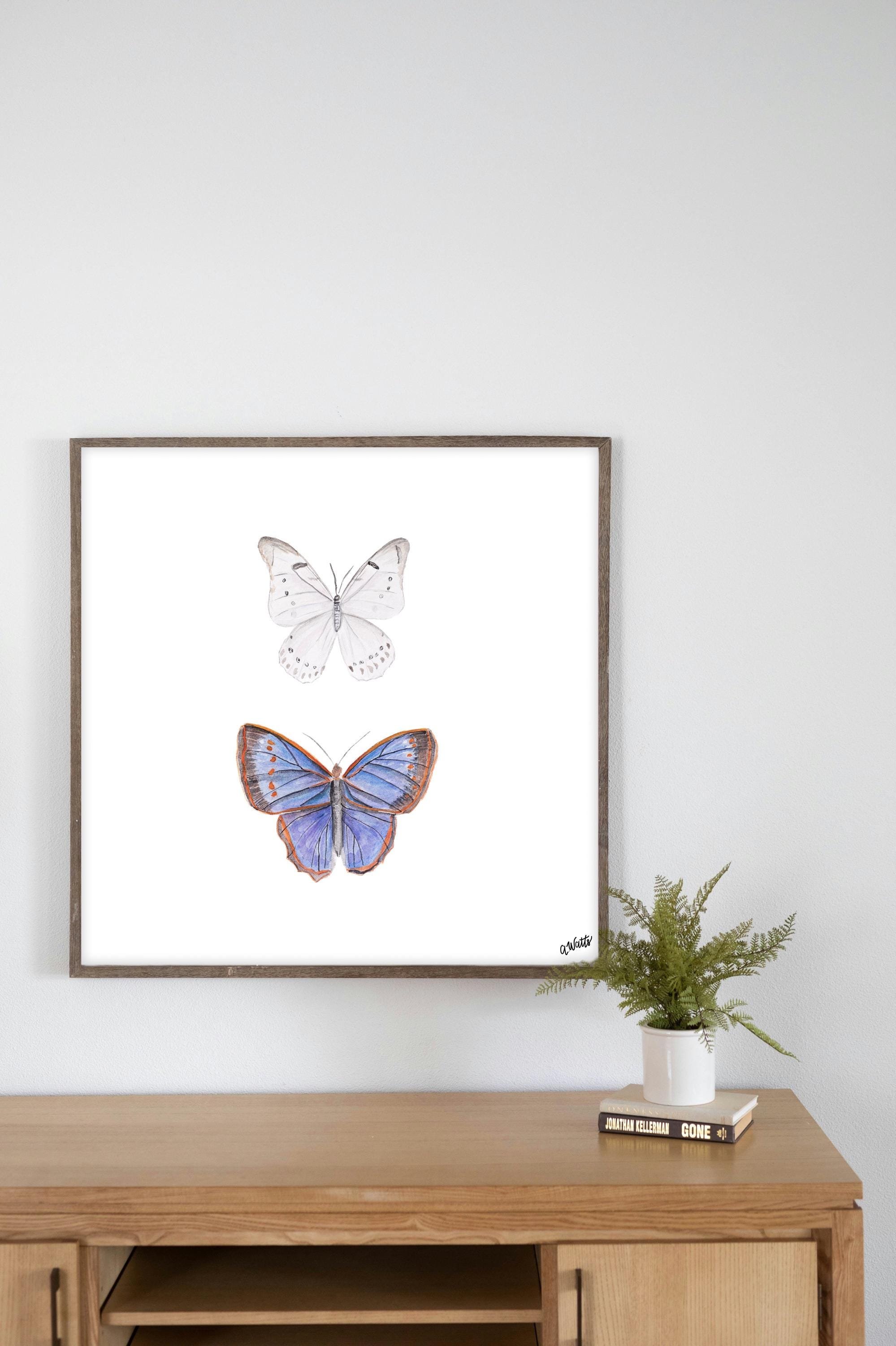 https://i.etsystatic.com/6967689/r/il/2c649f/6590055443/il_fullxfull.6590055443_9462.jpg