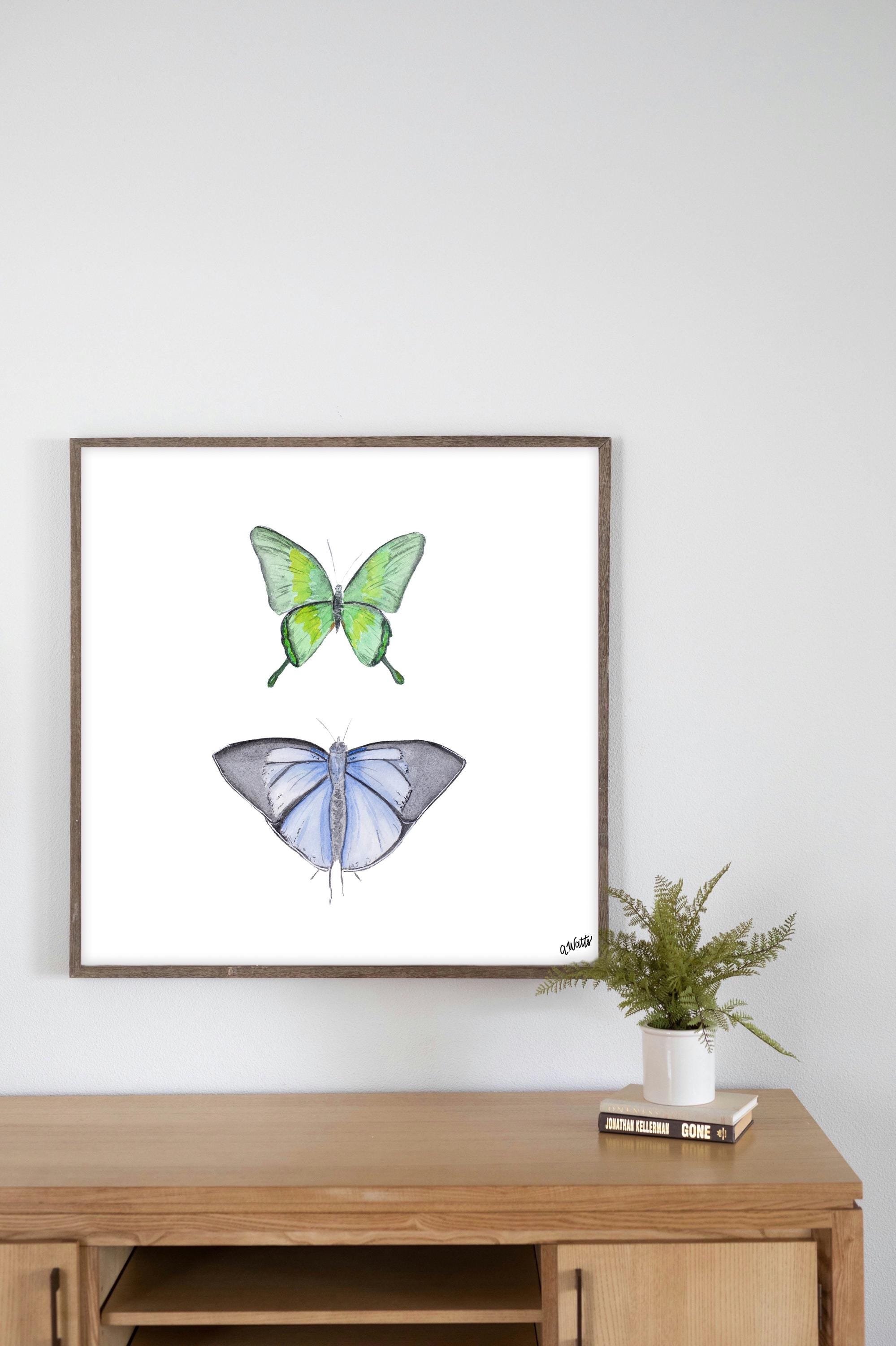 https://i.etsystatic.com/6967689/r/il/7967fa/6571623848/il_fullxfull.6571623848_e1gu.jpg