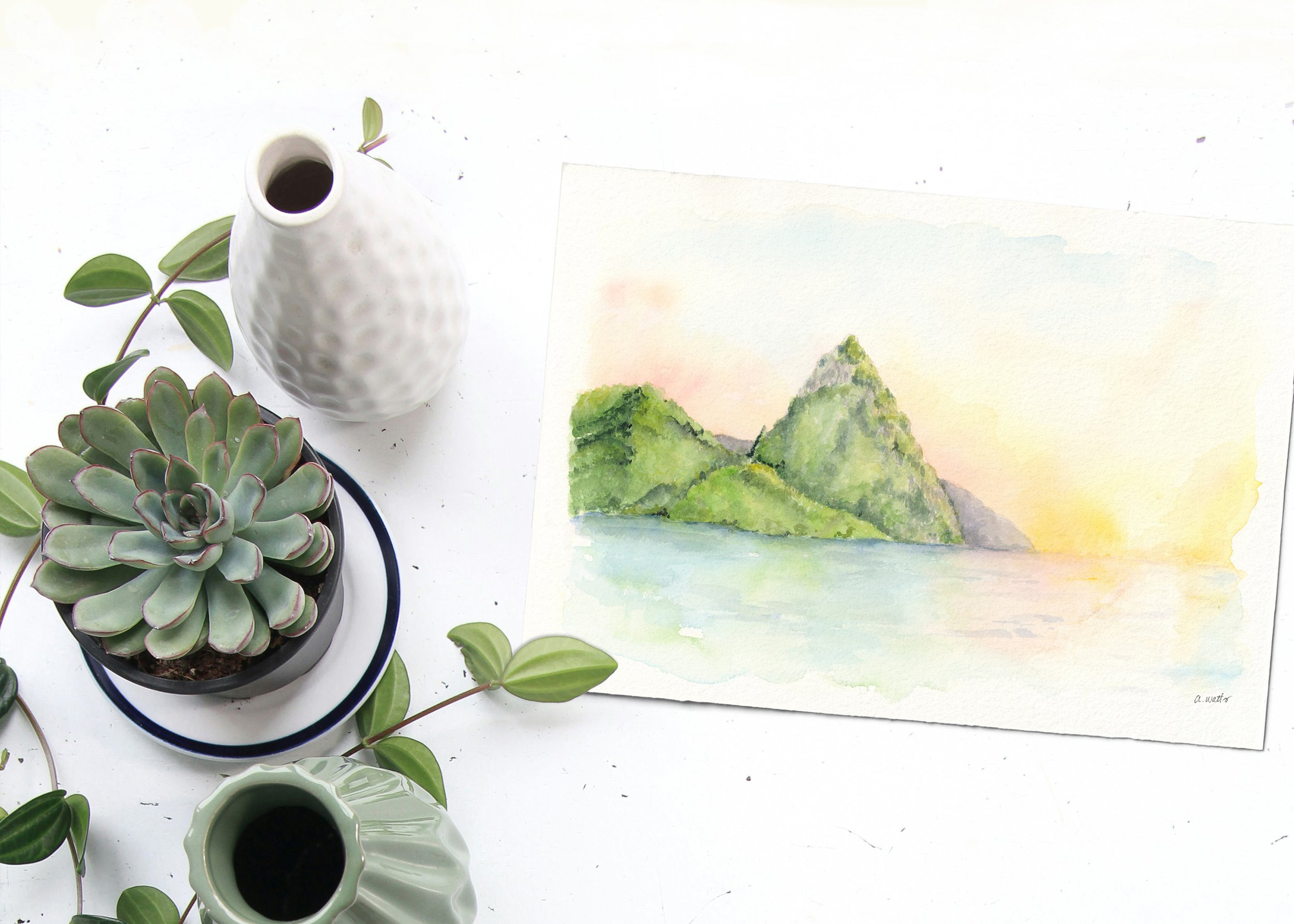 FlatLay_StLuciaOceanScapeSucculents.jpg