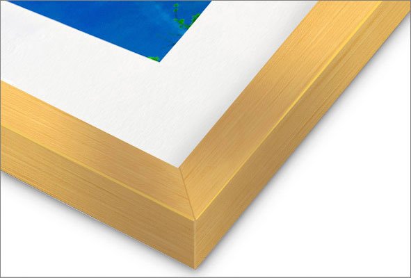 selected gold framing.jpg