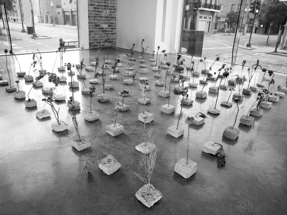 One Work: Rosalie Smith’s “My Mother’s Last Garden”