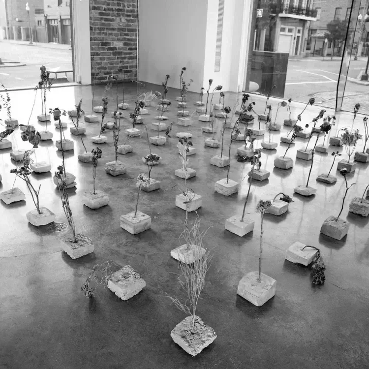 One Work: Rosalie Smith’s “My Mother’s Last Garden”