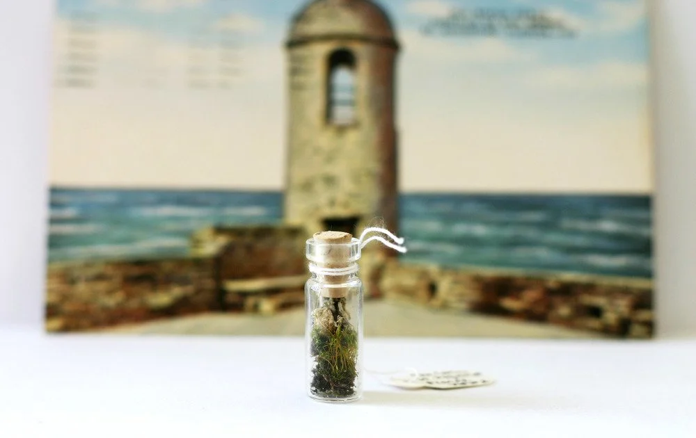 SanCarlosView2Capsule.jpg