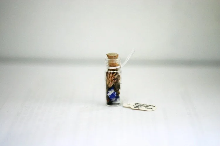 KNeumann_MetMuseum_Vial2013.jpg