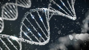 Genetics and Singing – Are Great Singers Born or Made? — MICK WALSH ...