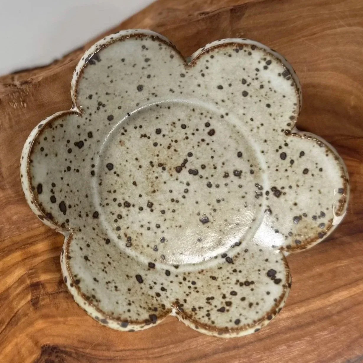 ERICA-LYN-CERAMICS-HANDMADE-ARTISAN-POTTERY-CERAMIC-FLOWER-DISH-SPECKLED-IRON-SMOOTH-02.jpg