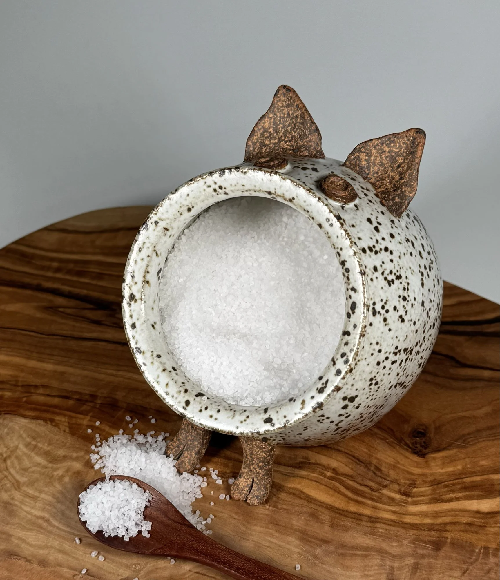 ERICA-LYN-CERAMICS-HANDMADE-ARTISAN-POTTERY-CERAMIC-SALT-PIG-SPECKLED-IRON-01B.jpg