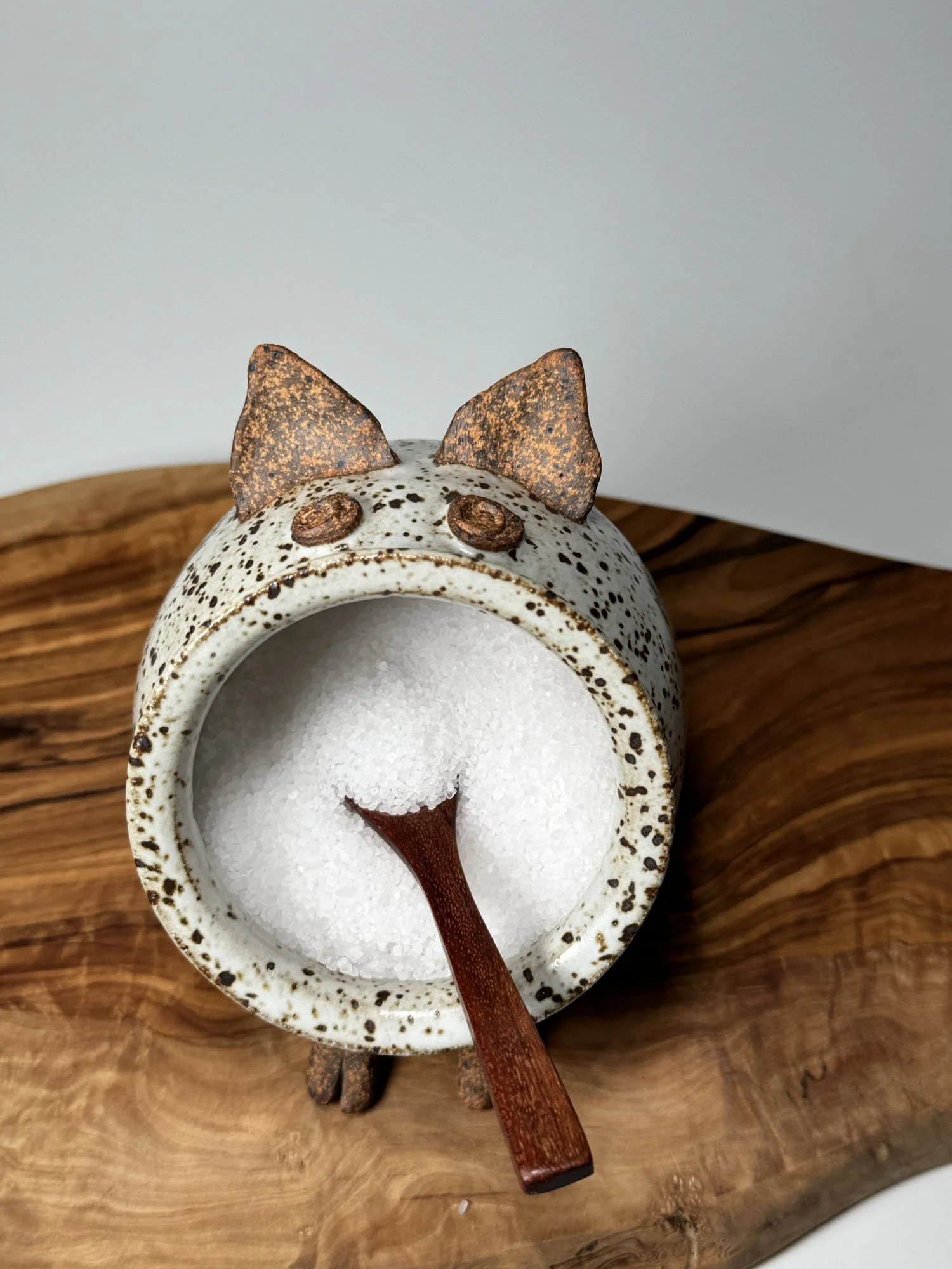 ERICA-LYN-CERAMICS-HANDMADE-ARTISAN-POTTERY-CERAMIC-SALT-PIG-SPECKLED-IRON-01C.jpg