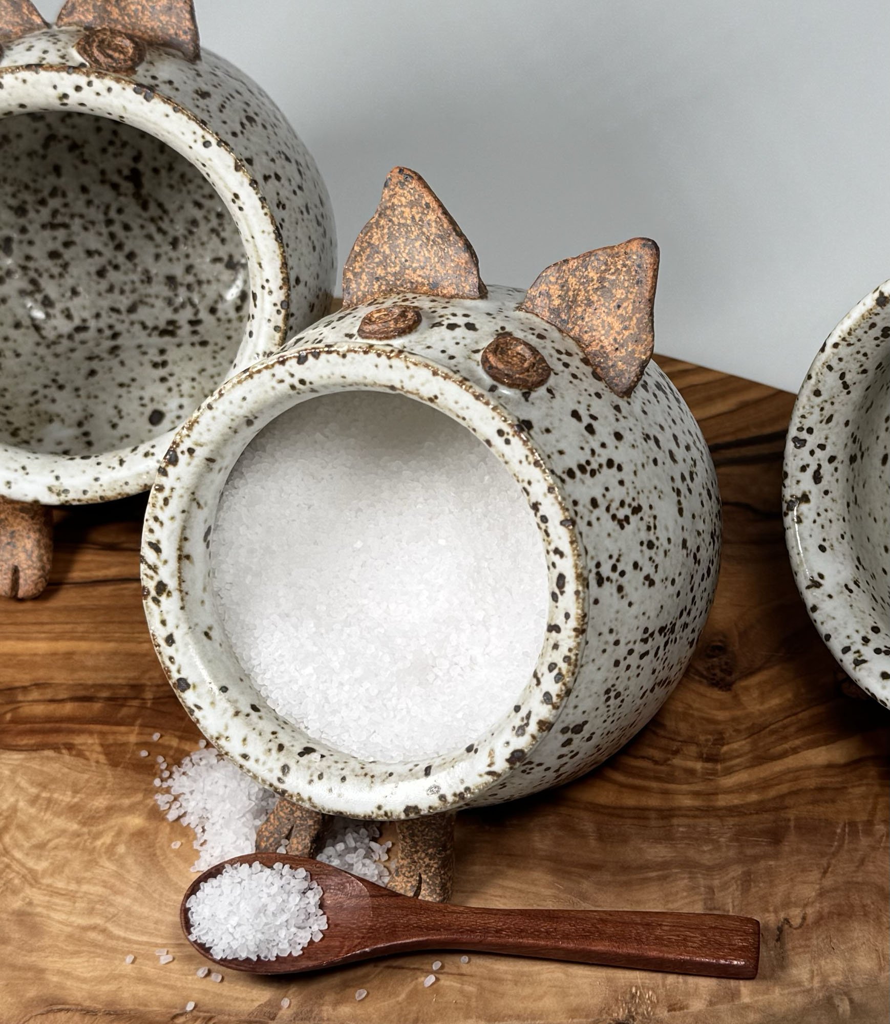 ERICA-LYN-CERAMICS-HANDMADE-ARTISAN-POTTERY-CERAMIC-SALT-PIG-SPECKLED-IRON-01D.jpg