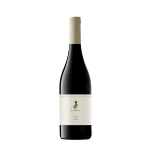 Untitled design (94).png