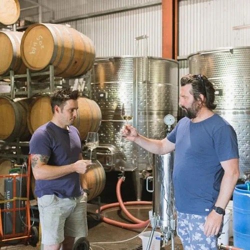 Wine-making-500x500 Medium.jpeg