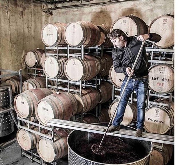 wine-making-process Medium.jpeg