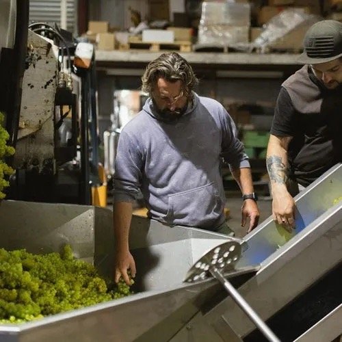 Grape-processing-500x500 Medium.jpeg