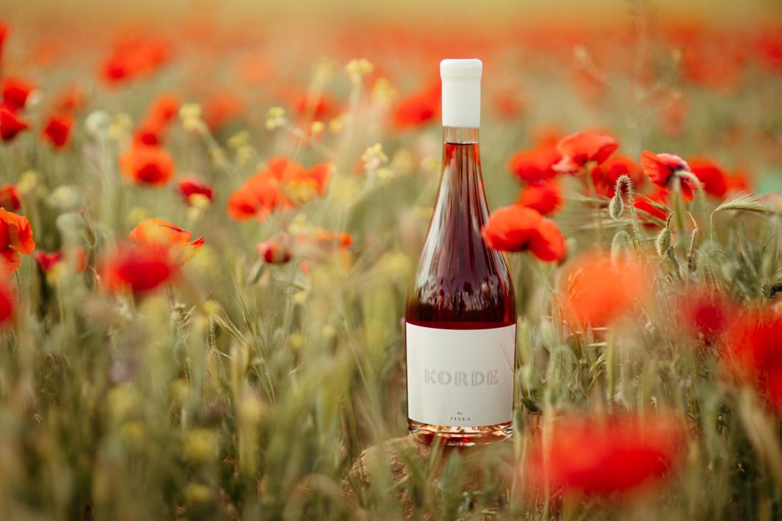 Korde-rosado-Pinea-3-1536x1024.jpeg