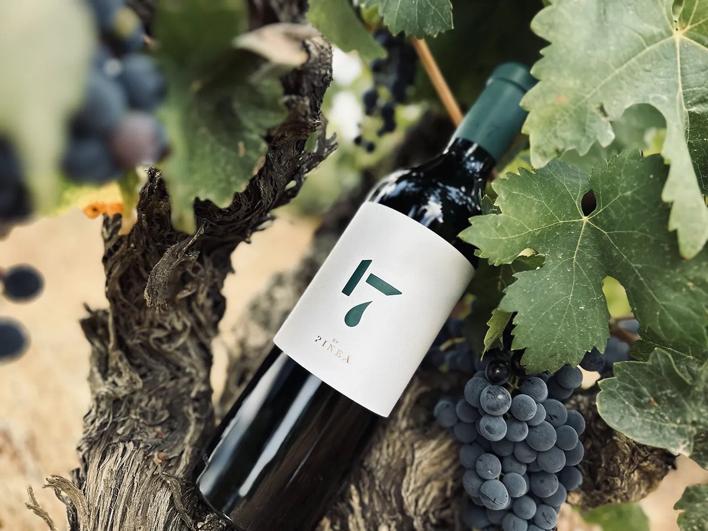 Pinea, "17", Ribera del Duero 2020
