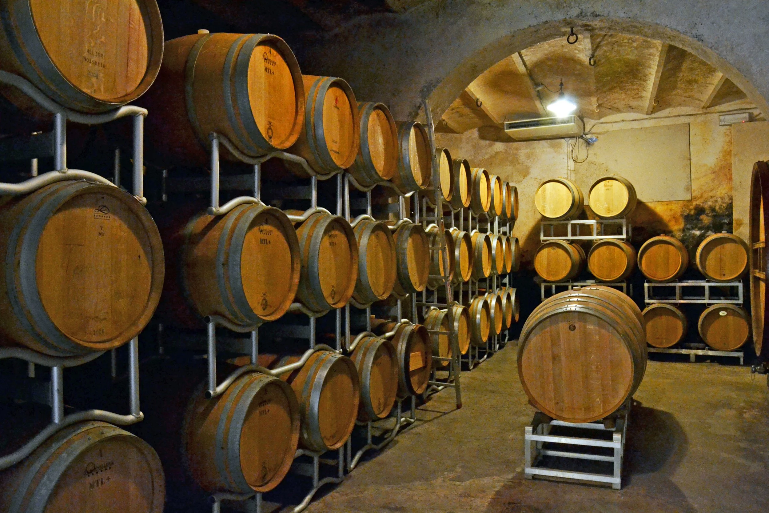DSC_0143 Barrique (3).JPG