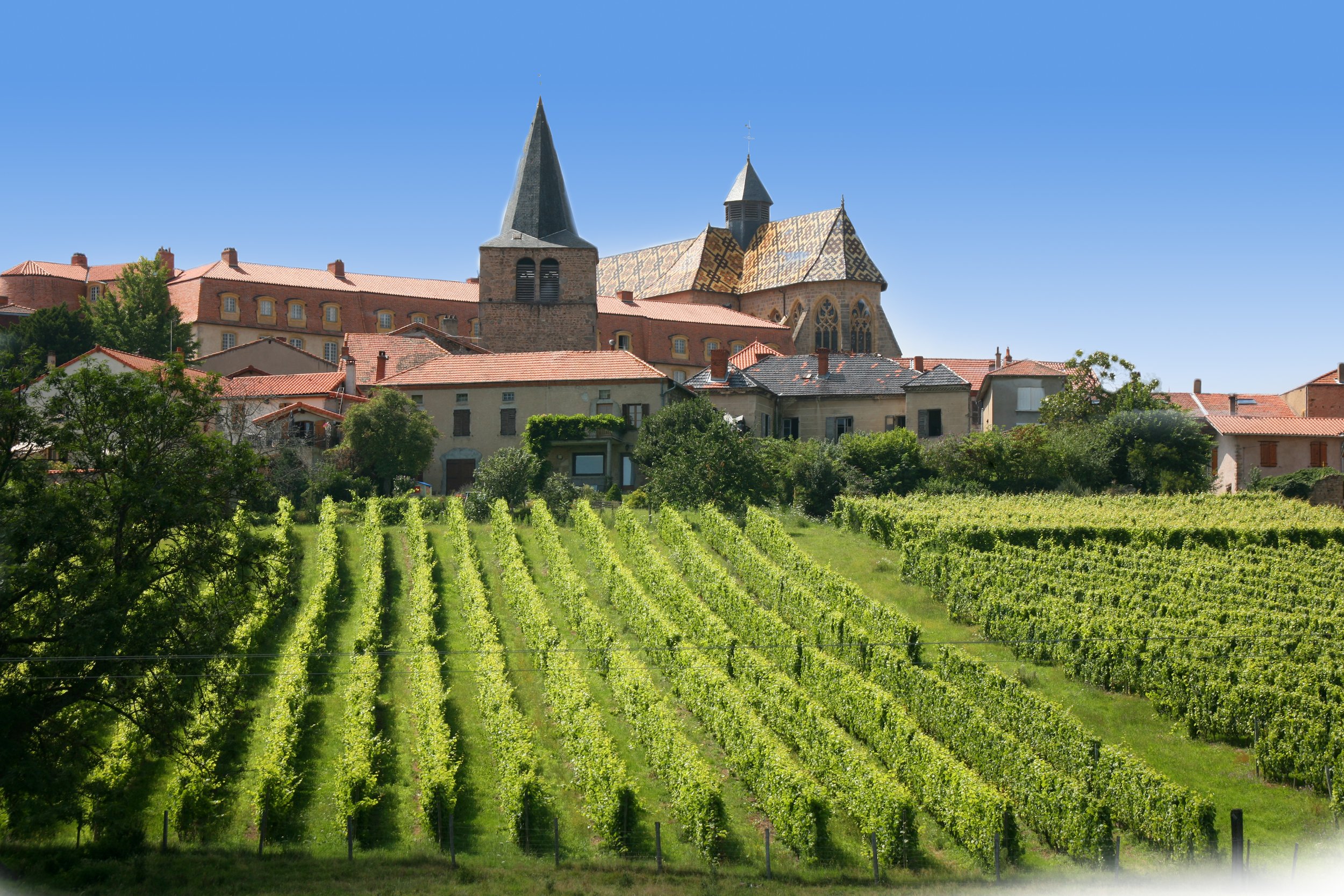 Ambierle + Vignes.jpg