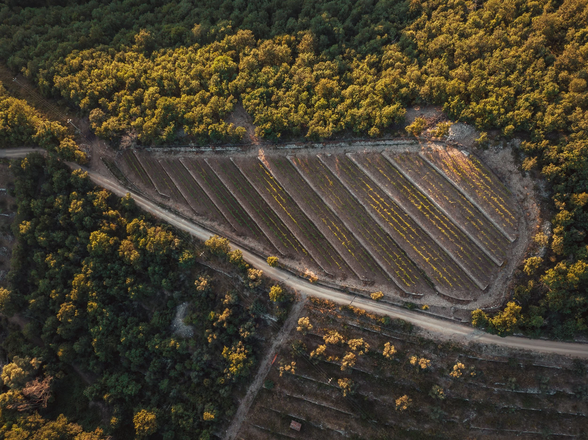 CarmaDrone-19.JPG