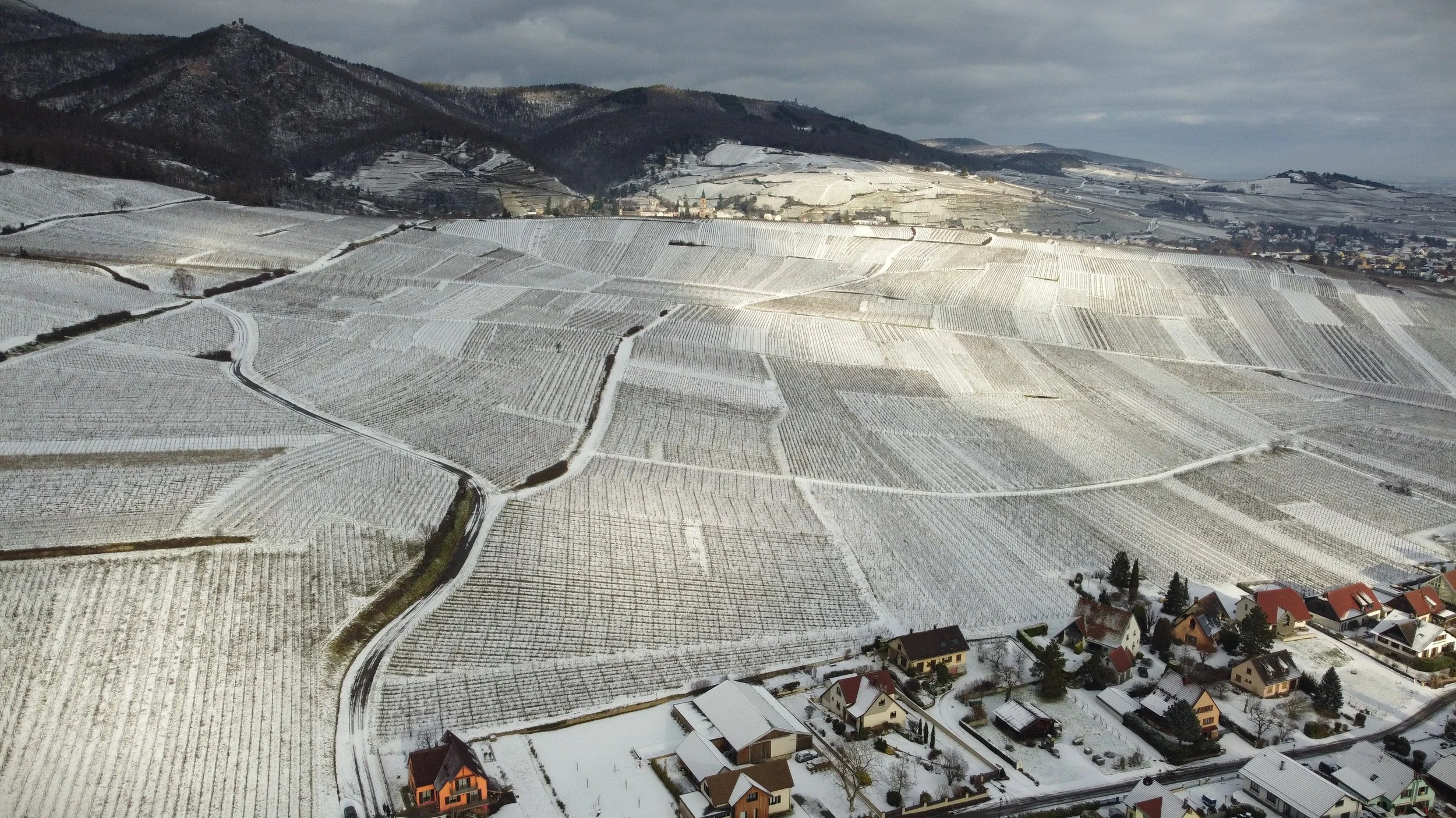 DJI_0454.JPG