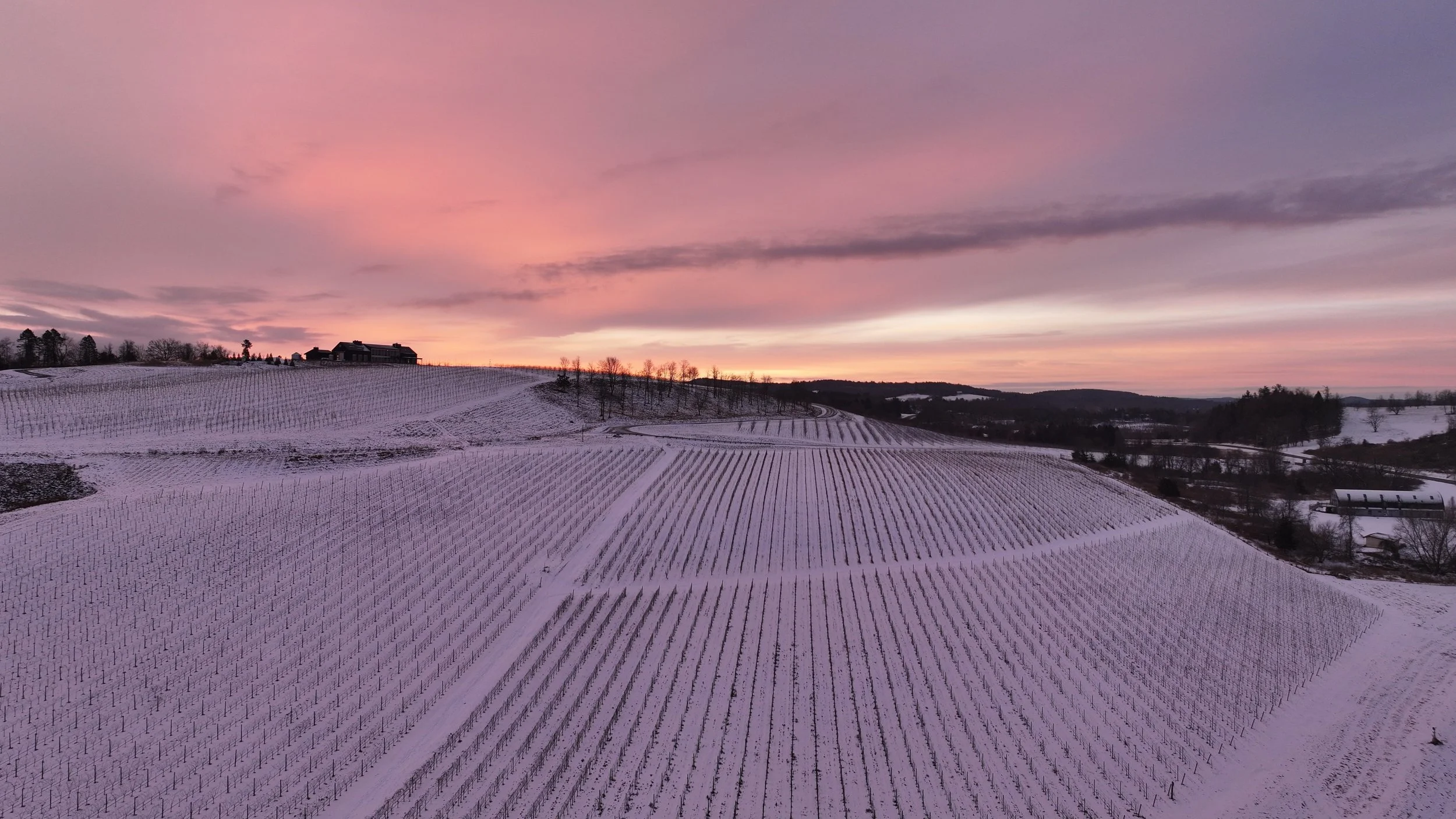 DJI_20260105073417_0686_D.JPG