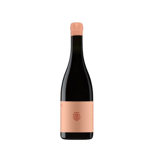 Mas Magnan, Chemin de Damas, Pays Herault 2024