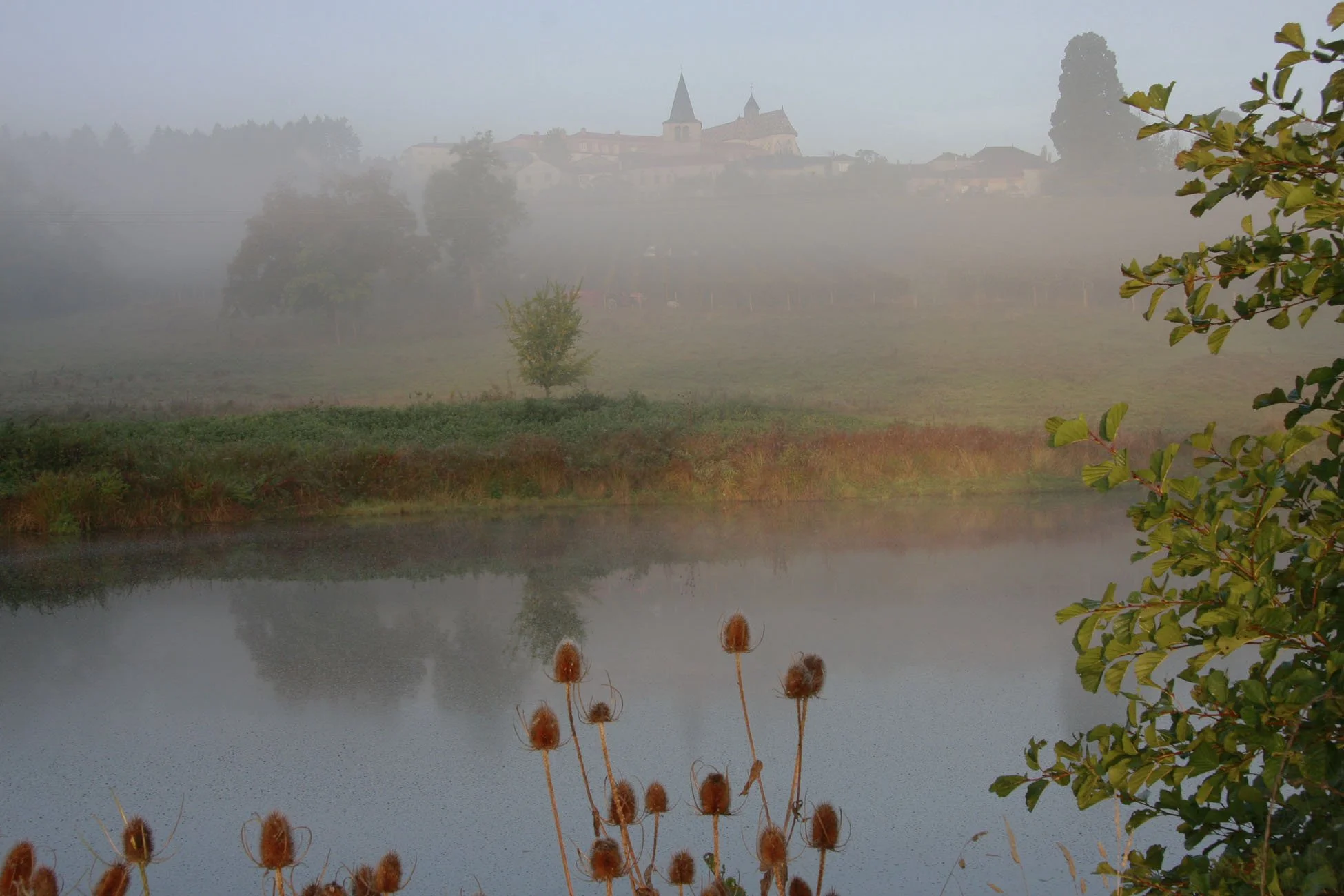 _MG_7758.JPG