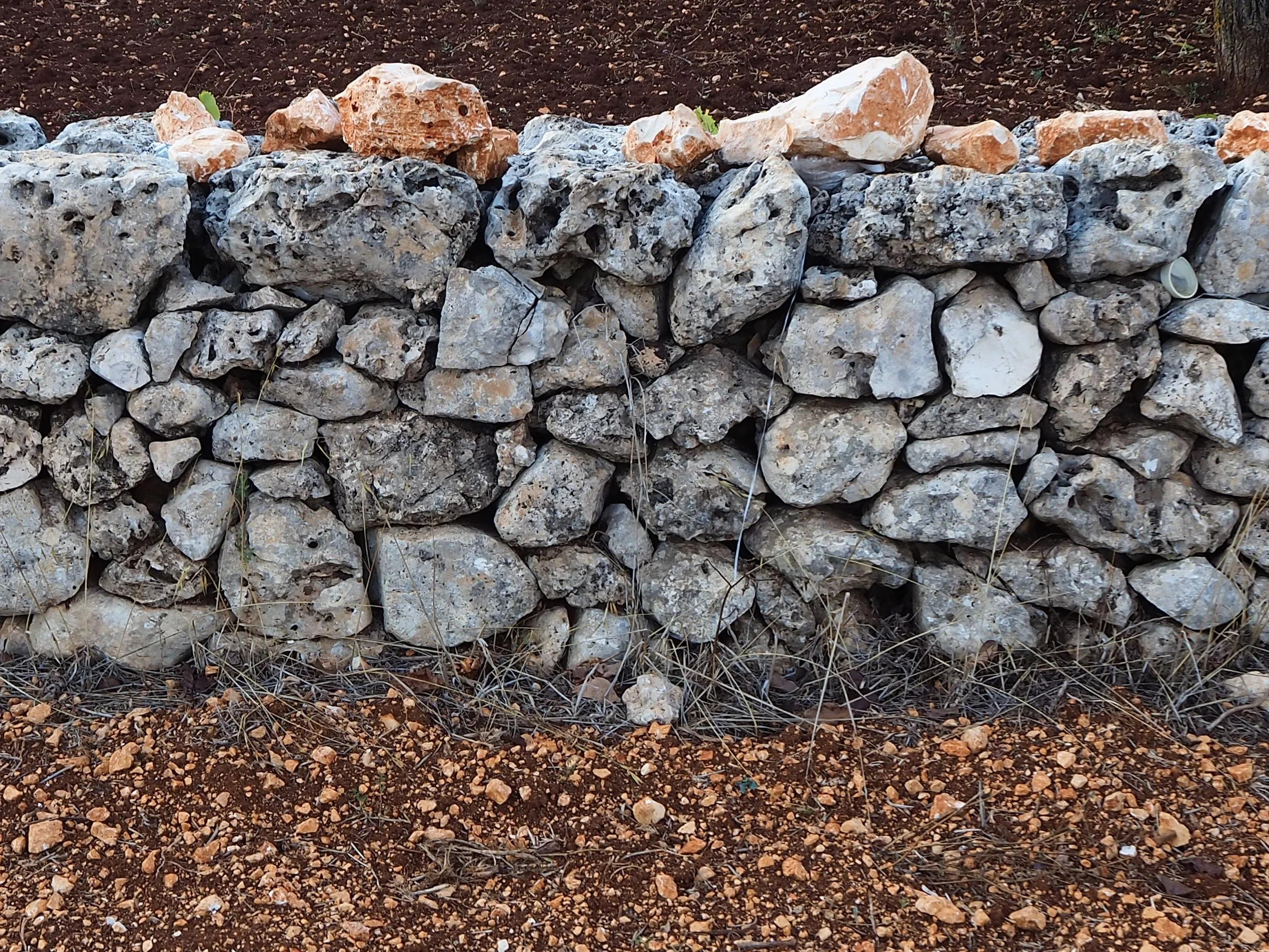 Vigna_Muretto a secco.png