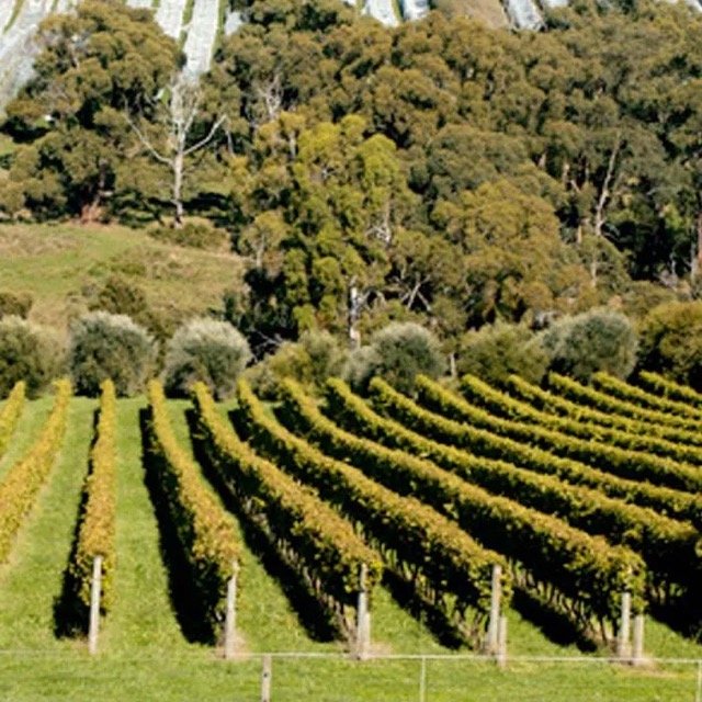 vineyard-sawmill-rd Medium.jpeg