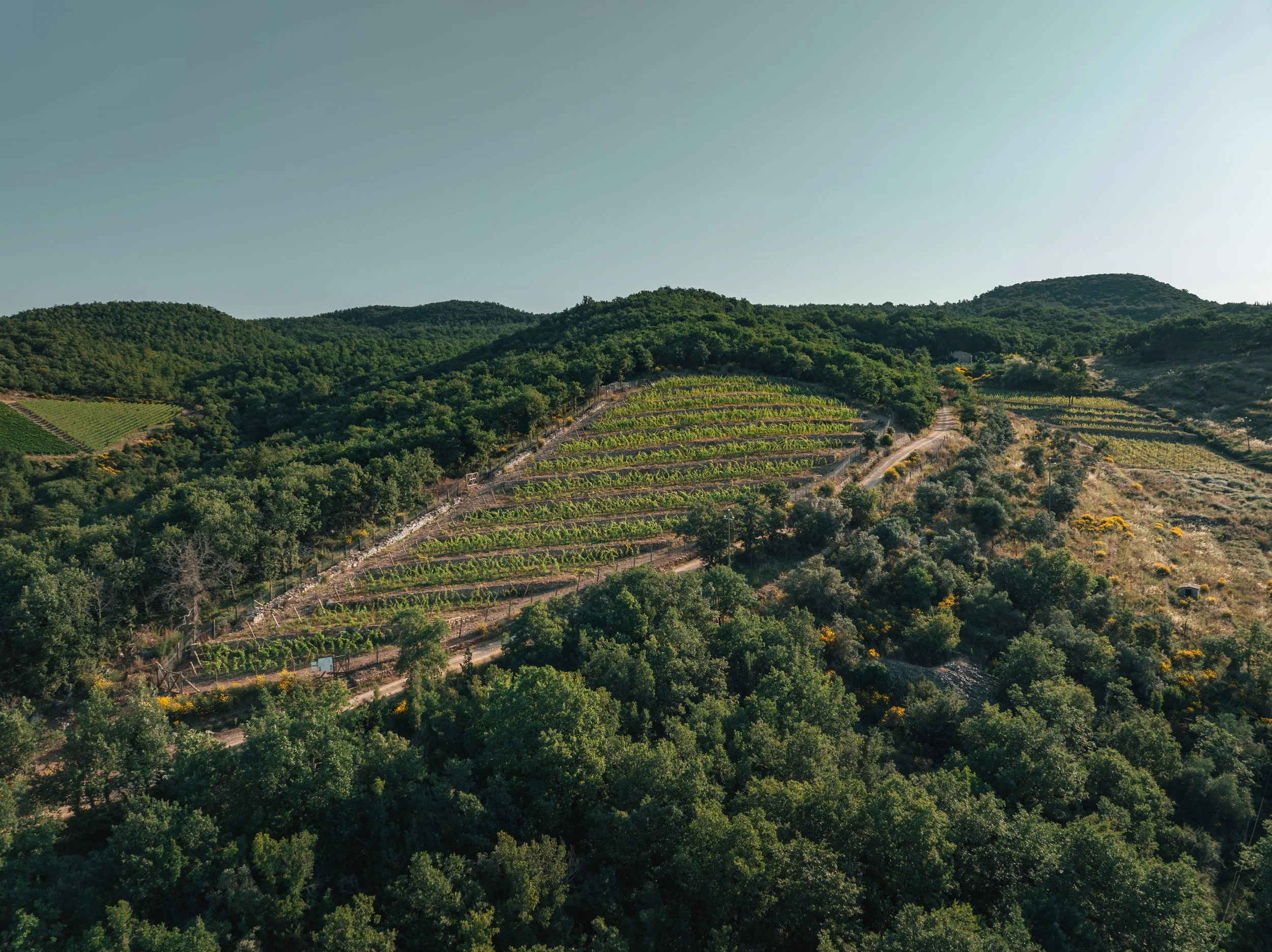 CarmaDrone-5.JPG