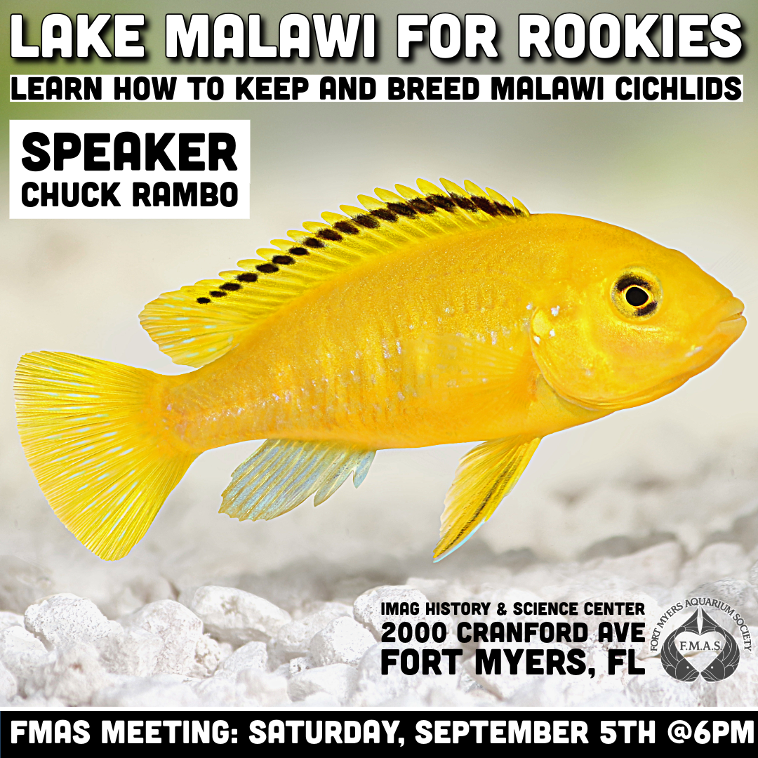 September 2026 Meeting 