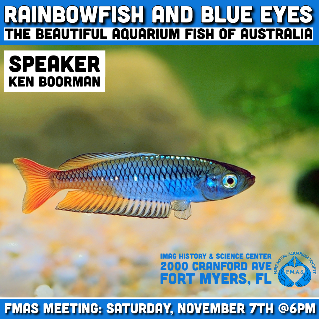 Rainbows and Blue Eyes | Fish and Plant Auction