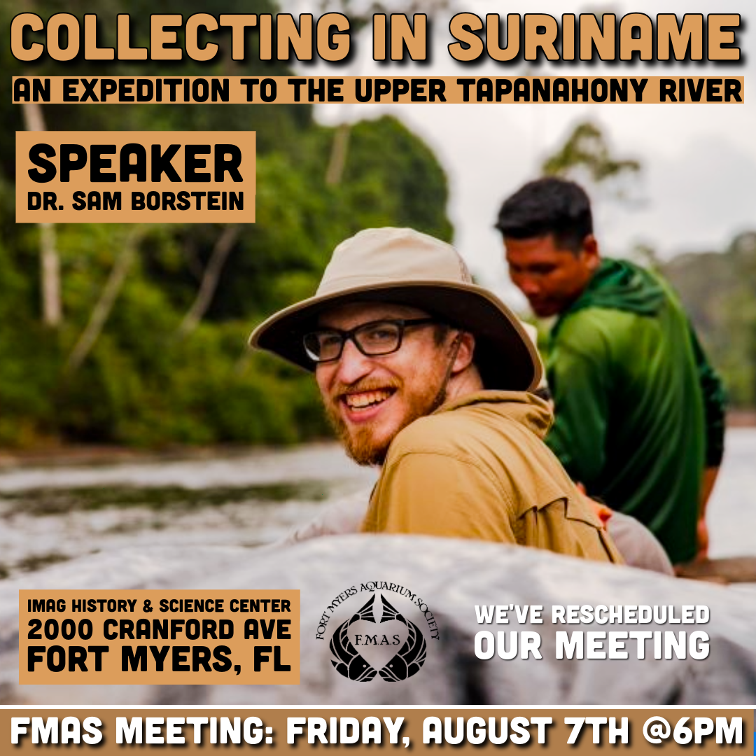 Collecting in Suriname - Fish and Plant Auction