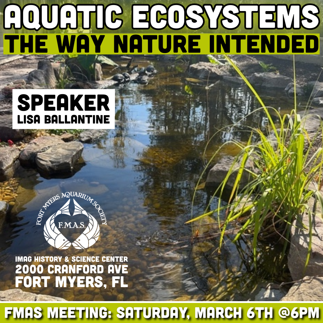March Meeting