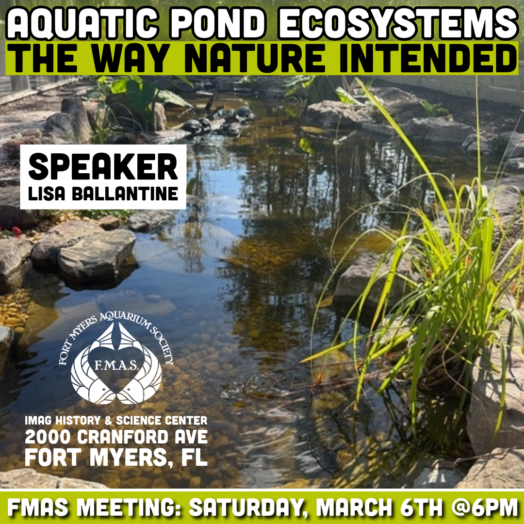 Pond Ecosystems | Fish and Plant Auction