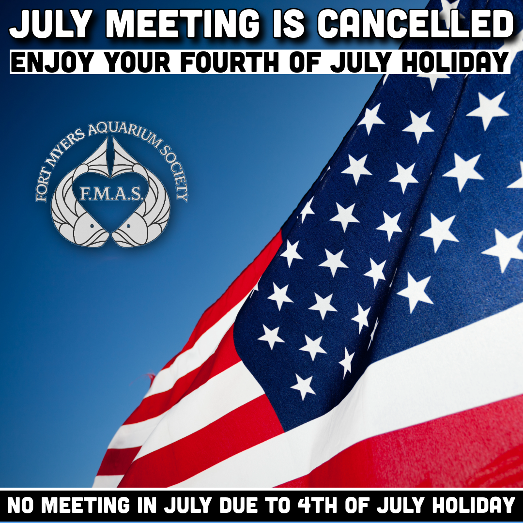 No Meeting - Fourth of July