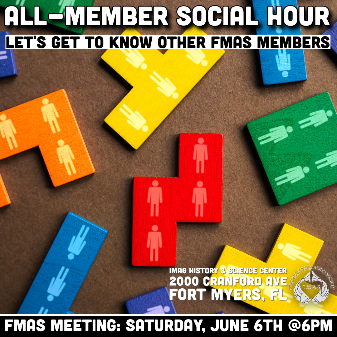 Social Time | Fish and Plant Auction