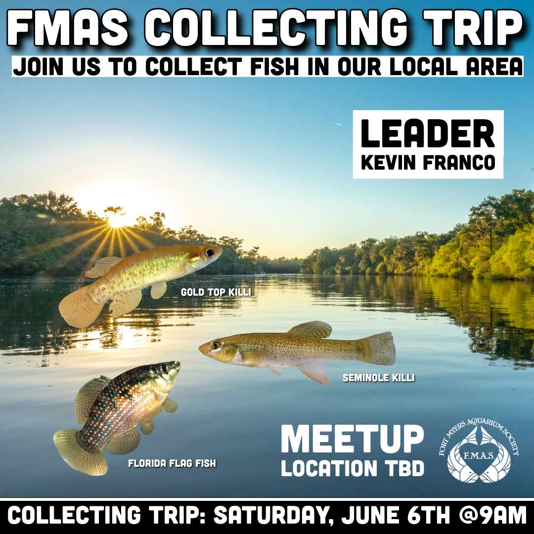FMAS Collecting Trip