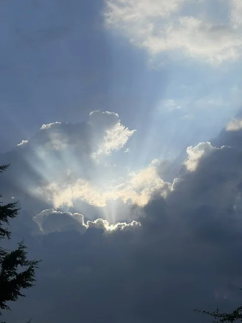 sun pic.jpeg