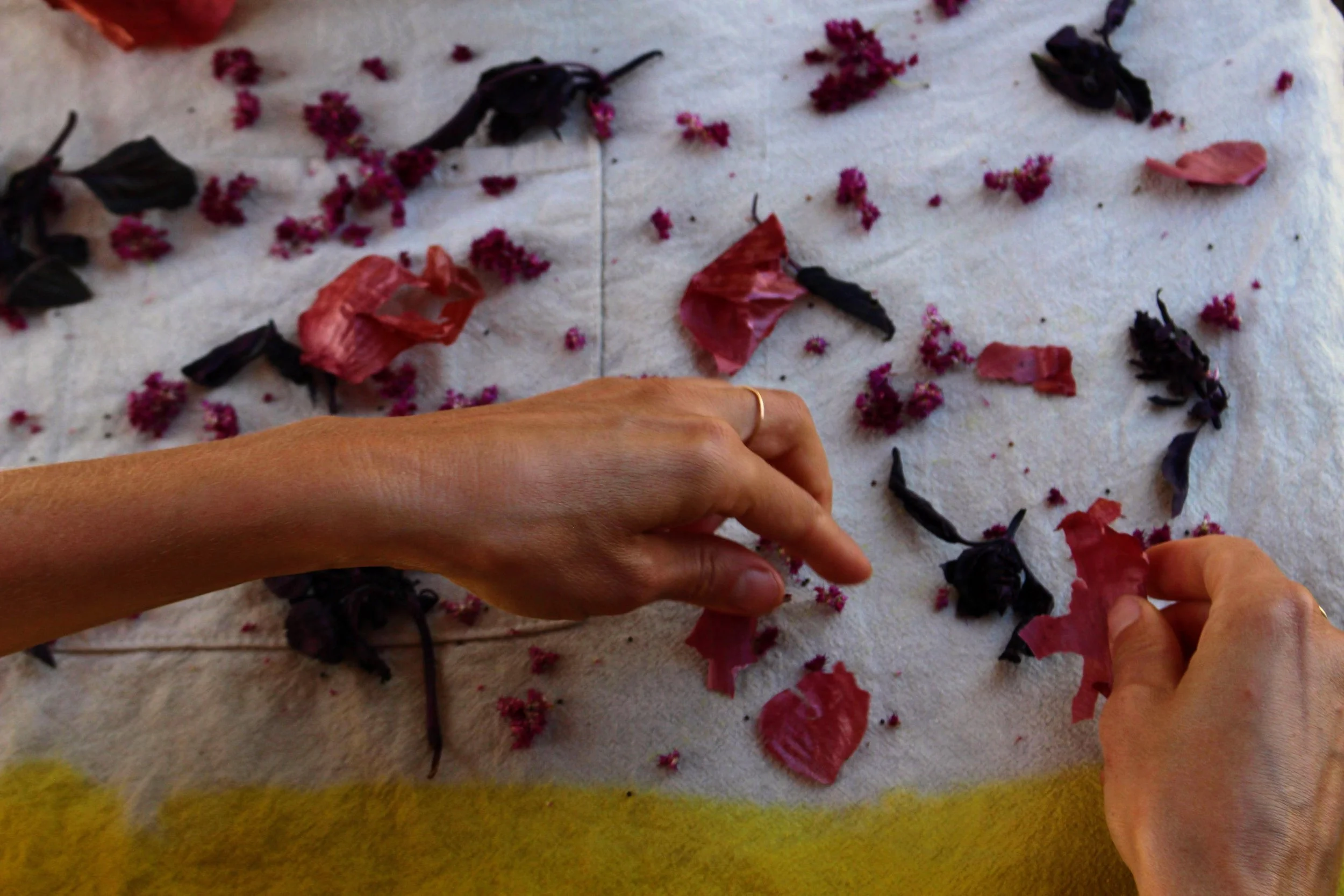 Natural Dye