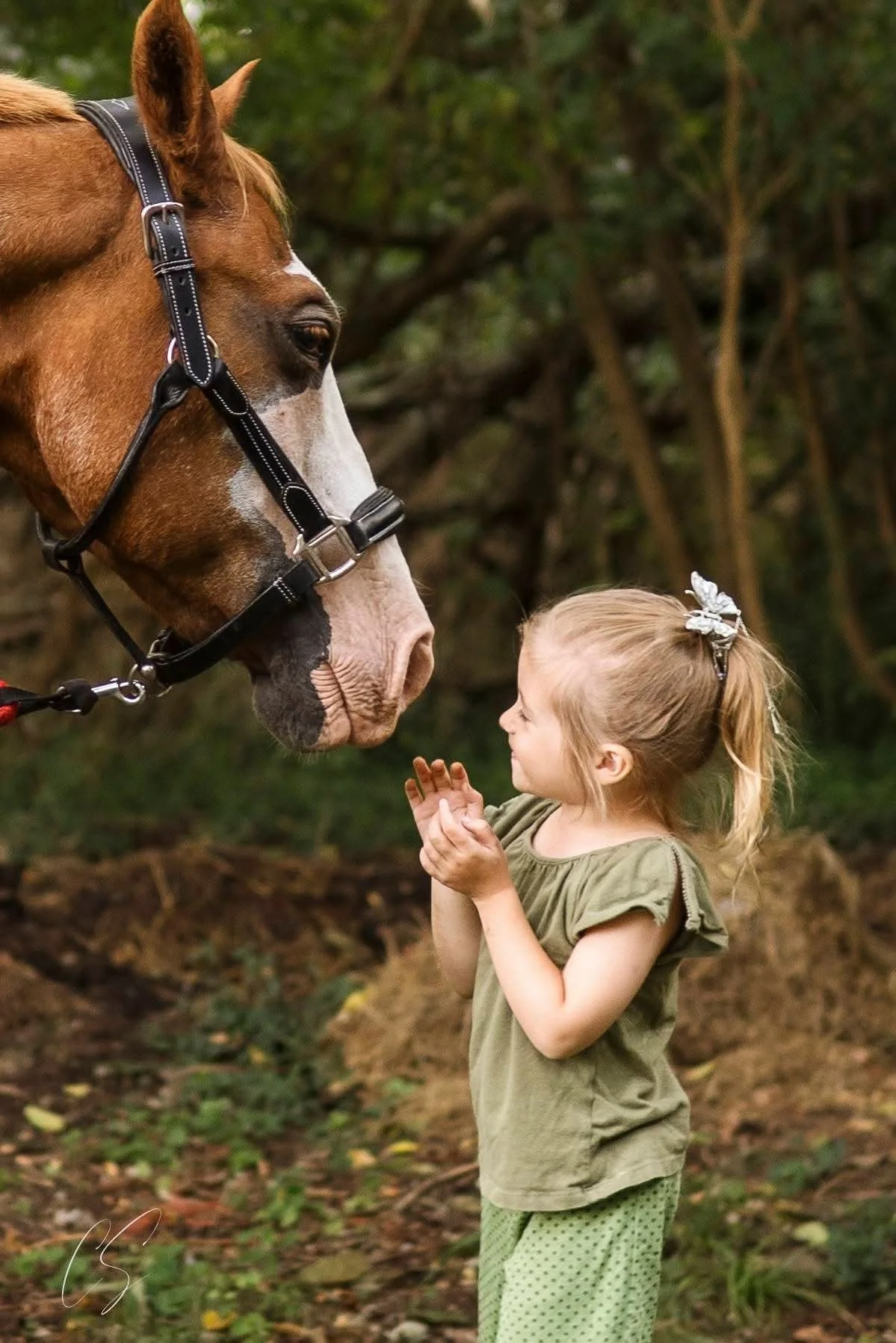 A young girl with blonde hair in a ponytail, wearing a green shirt and green pants, face to face with a large brown horse in a wooded outdoor setting.
