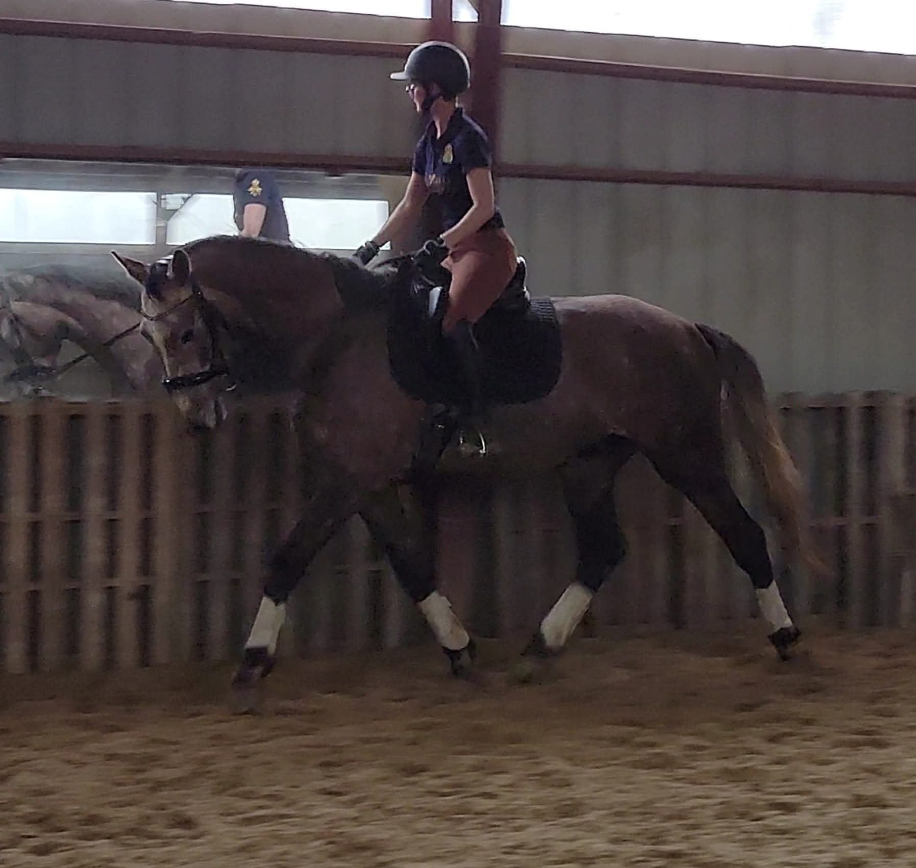 A woman in riding gear, including a helmet, riding a brown horse with white socks, inside an indoor riding arena with a wooden fence and a wall with a mirror.