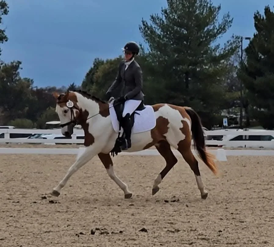 A woman in equestrian attire riding a pinto horse in an outdoor arena with trees in the background.