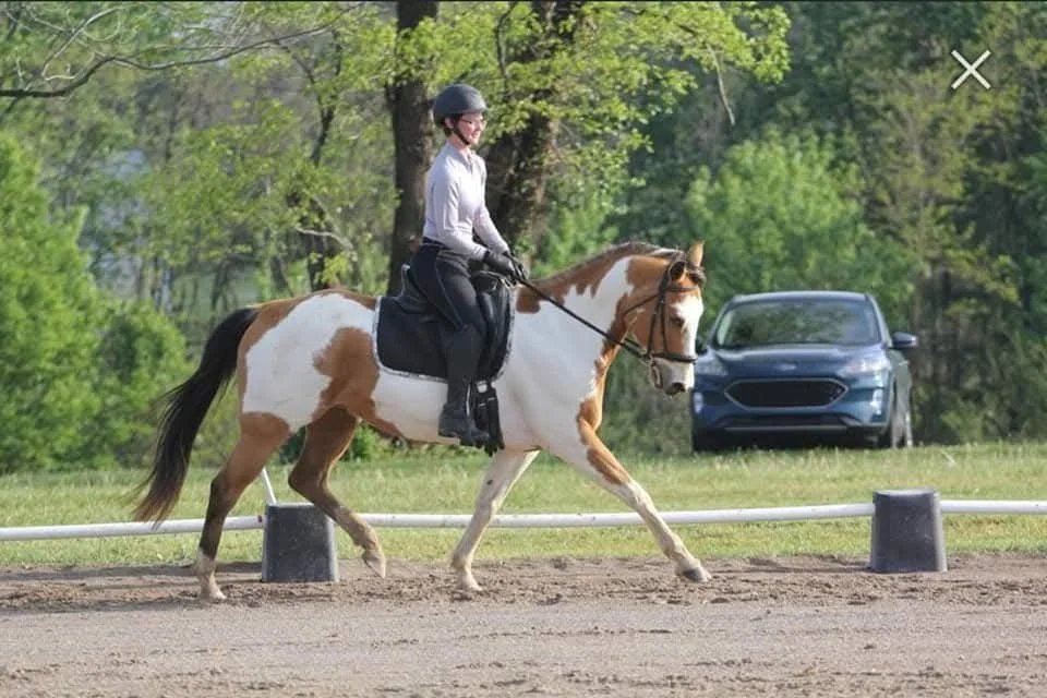A woman riding a pinto horse with a black saddle and bridle on a grassy field, with trees and a blue car in the background.