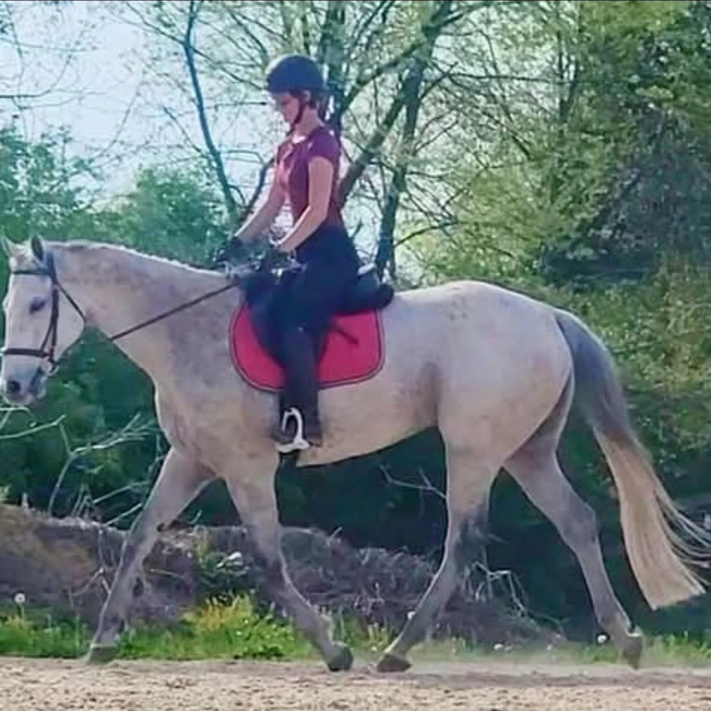 A woman riding a light-colored horse on a trail through a green forest, wearing a helmet and casual riding clothes.
