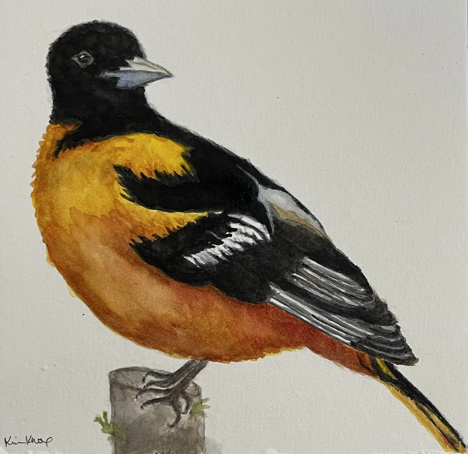 KK-artwork-oriole.jpg