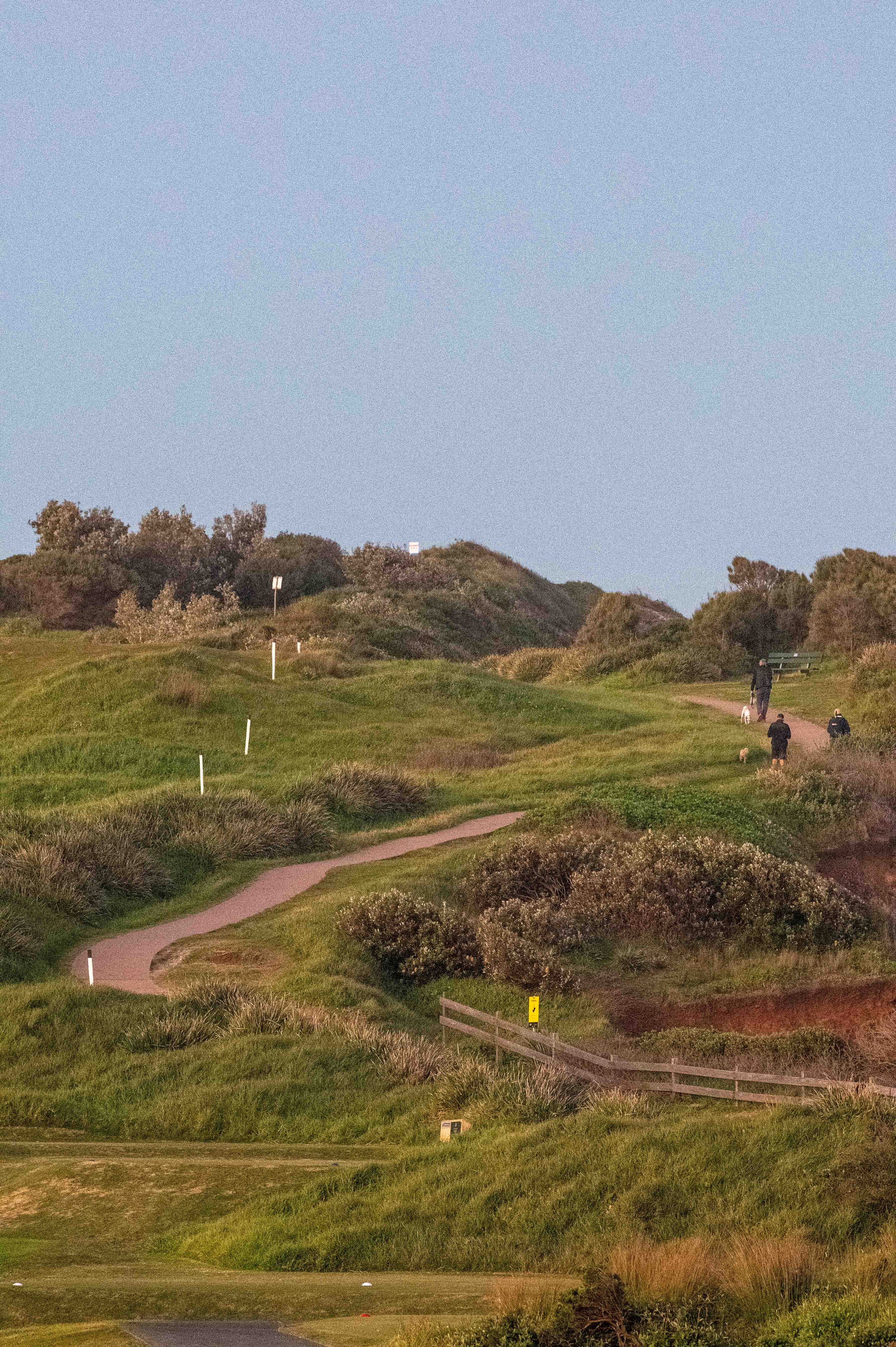 _DSC1414.jpg