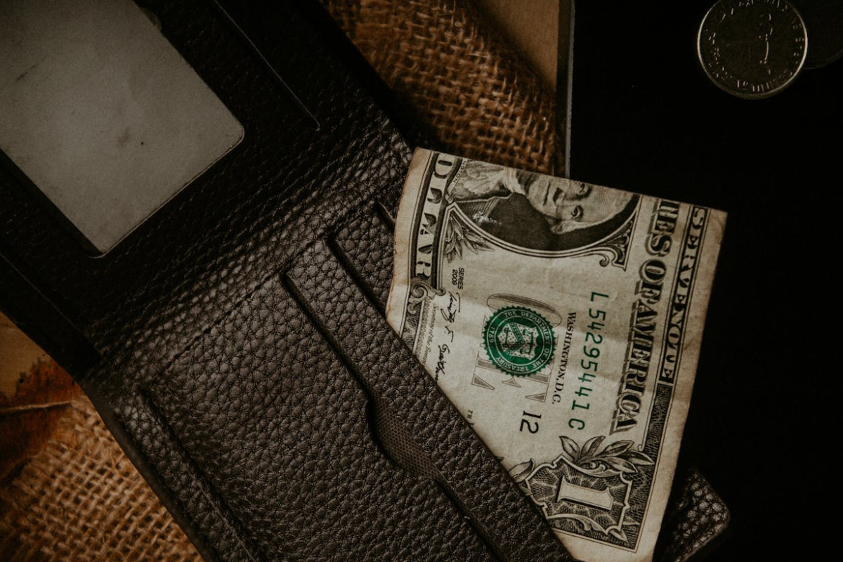 Federalist 58